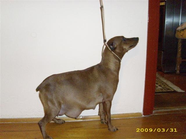 Gizela1.JPG, 42 KB