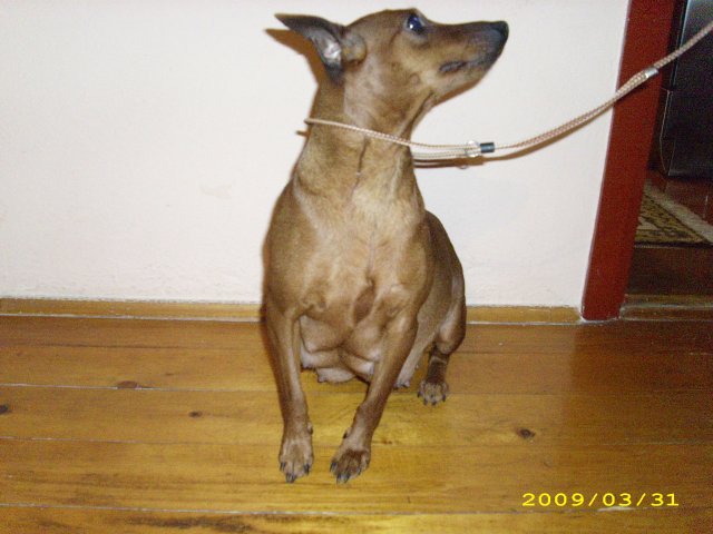 Gizela2.JPG, 645 KB