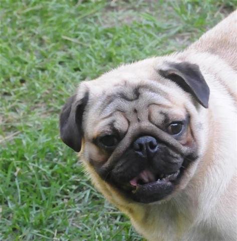 smile1.jpg, 36 KB